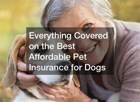 affordable pet insurance for elderly.